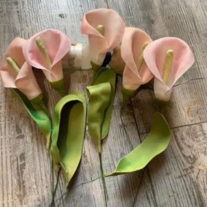 Calla Lilies