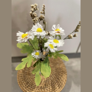 Daisies with vase