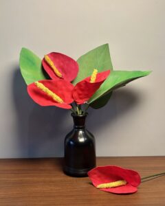 Anthurium