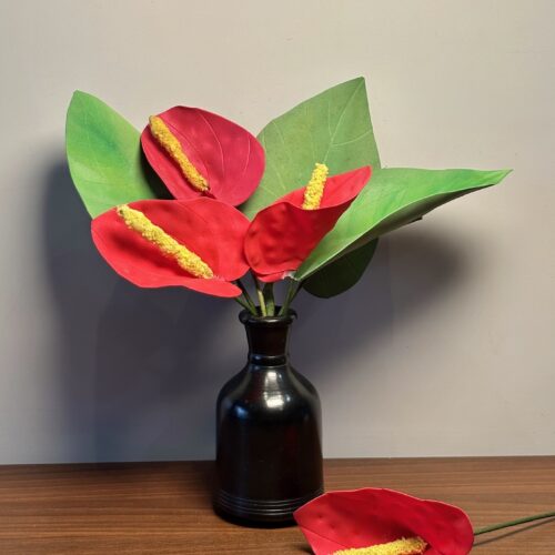 Anthurium